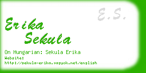 erika sekula business card